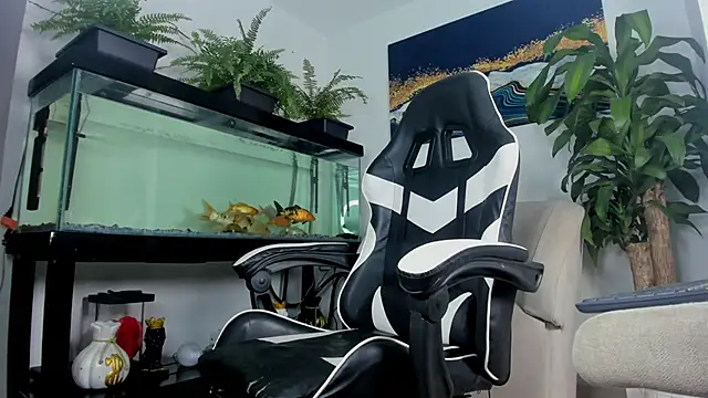 Johnnygrayson1 webcam
