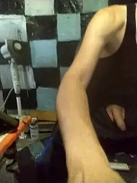 Wero4200 webcam
