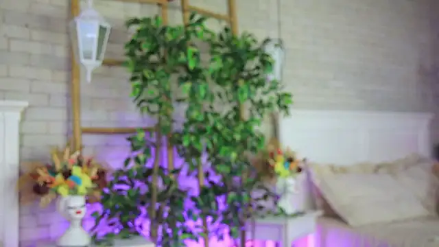 EmillyBronte webcam