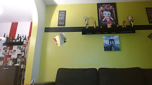 zaking22cm webcam
