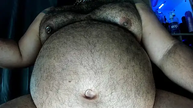 Bearspigdirty webcam