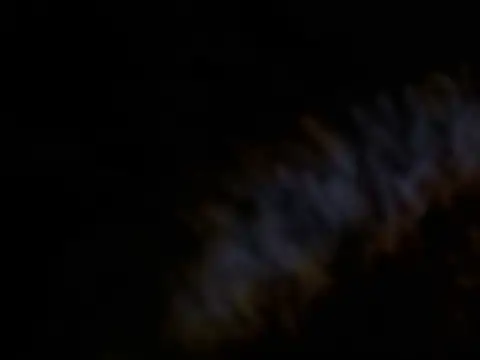 Paugrosso1764 webcam
