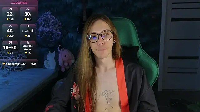 artass2 webcam