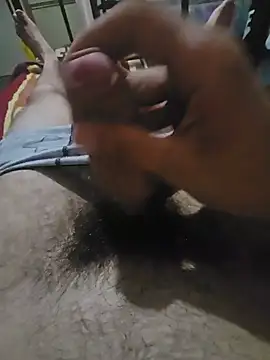 Bokihot webcam