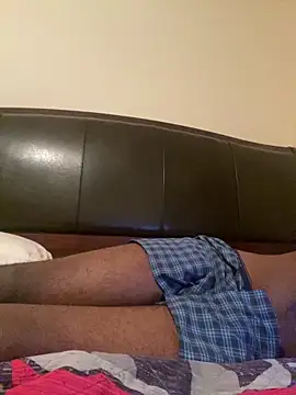 ThickDic28 webcam