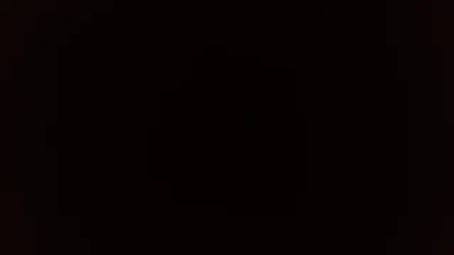 curvivan webcam