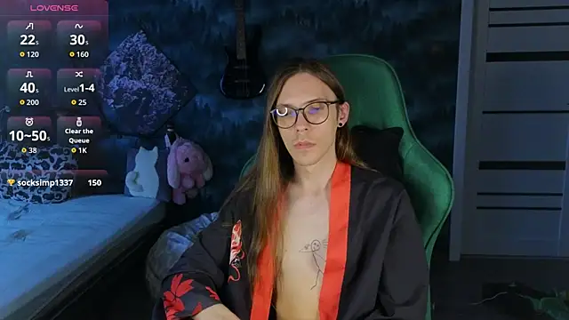 artass2 webcam