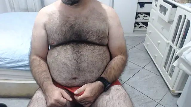 MysterBearMG webcam