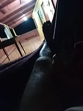 69pa webcam