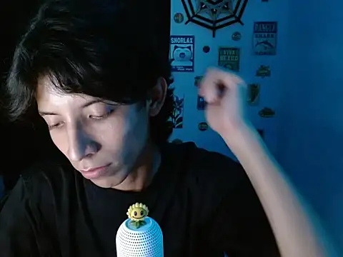 VAZAK webcam