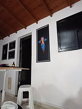 SilvaBranko webcam