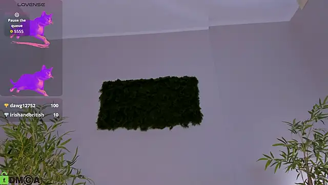 miiss__lulu webcam