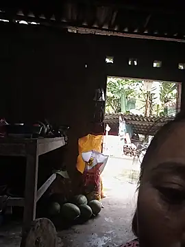 auro99 webcam