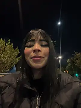 -Brittanny webcam