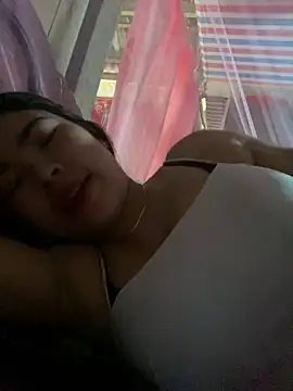 Nul_chal webcam