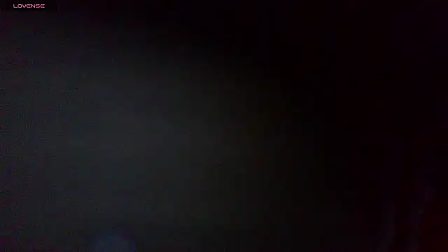 the_dog_lian webcam