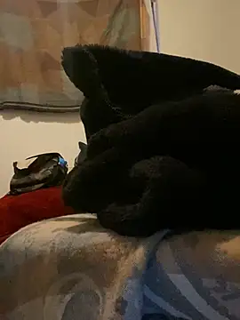GusanoDelicioso webcam