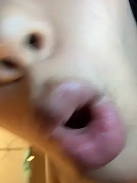 Aryrosee webcam