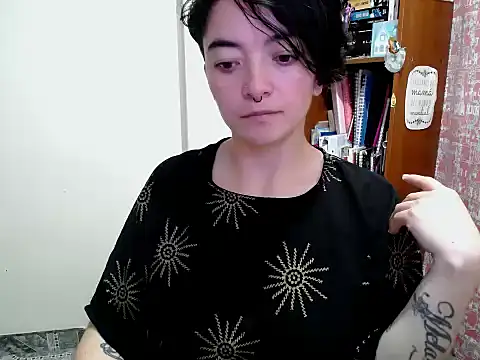 Came-II webcam