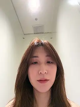 KK-328 webcam