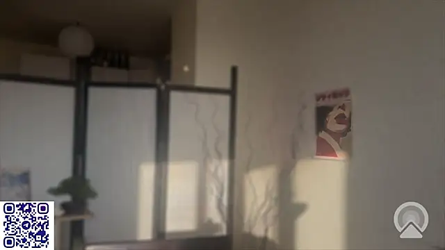 secrettape webcam