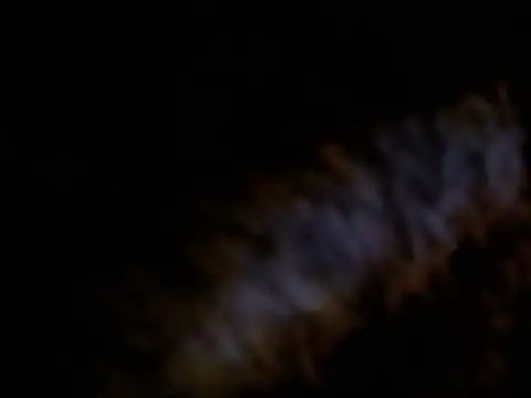 Paugrosso1764 webcam