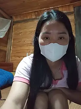 Td3di webcam