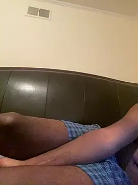 ThickDic28 webcam