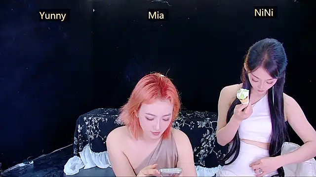 MiNi-U webcam