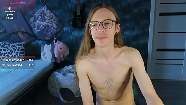 artass2 webcam