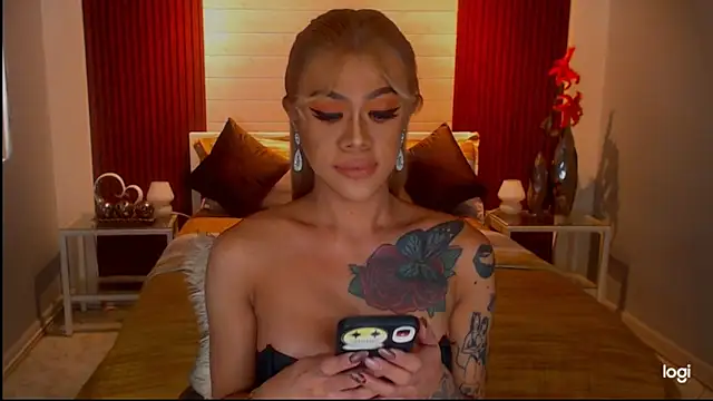 StellaStrong30 webcam