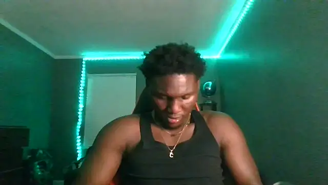 Festivitiesking1 webcam