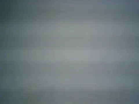 michel1520 webcam