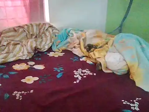 Sanjaymartin29 webcam