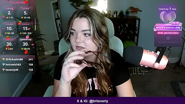 Briieverly webcam