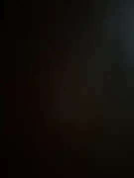 dilu98 webcam