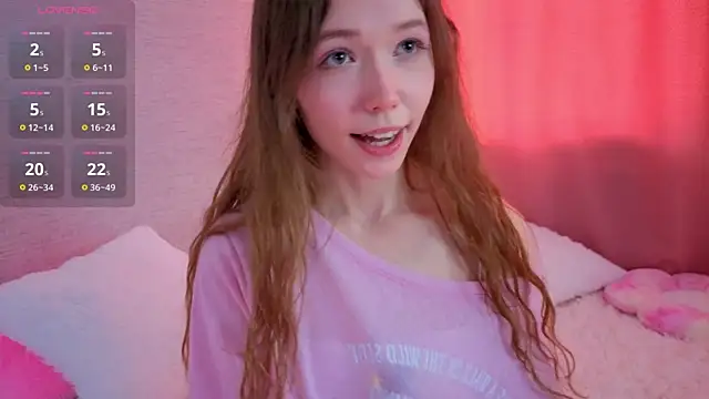SugarTouch webcam