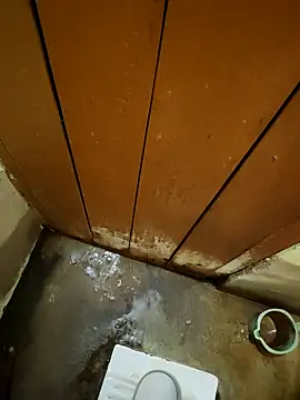 lambakooli webcam