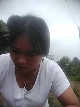 Janecassi webcam