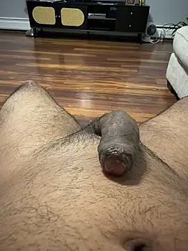 YourPersonall webcam