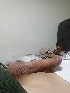 Joker0723l webcam