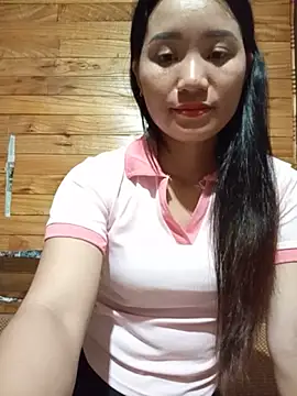 Td3di webcam