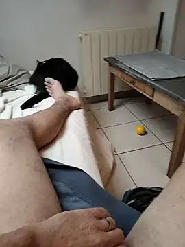 Corref webcam