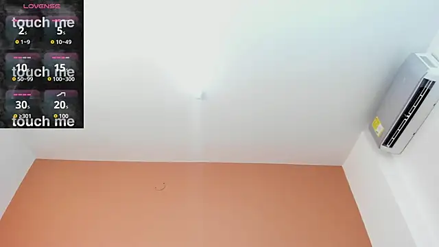 ValeSantoDomingo webcam