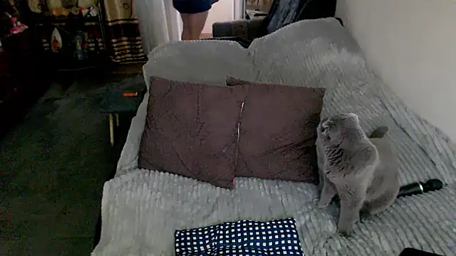 sex2 webcam