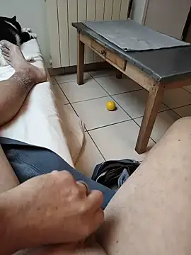 Corref