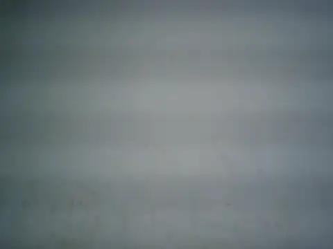 michel1520 webcam