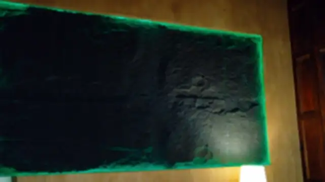 Lexavega_ live cam