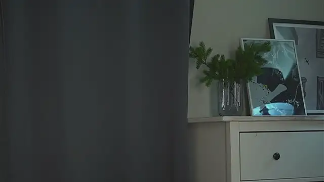 akumadadrive webcam
