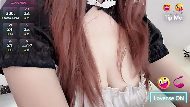 Amireux-8 webcam